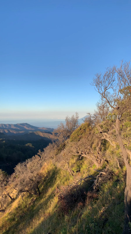 印度尼西亚布罗莫火山