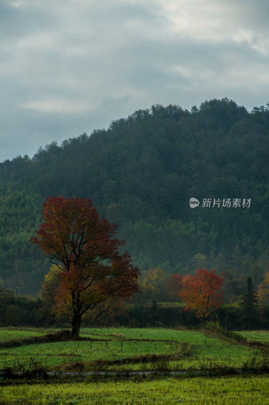 塔川的秋天