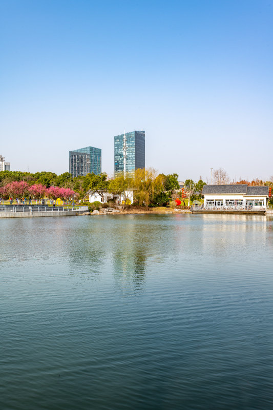 上海莘庄公园莘庄梅园梅花春天景点景观