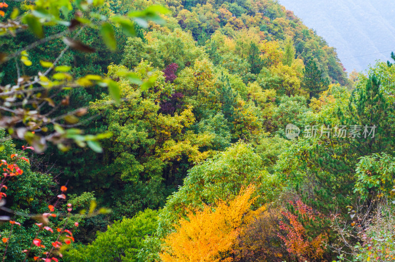 河南省洛阳白云山九龙潭秋天风景