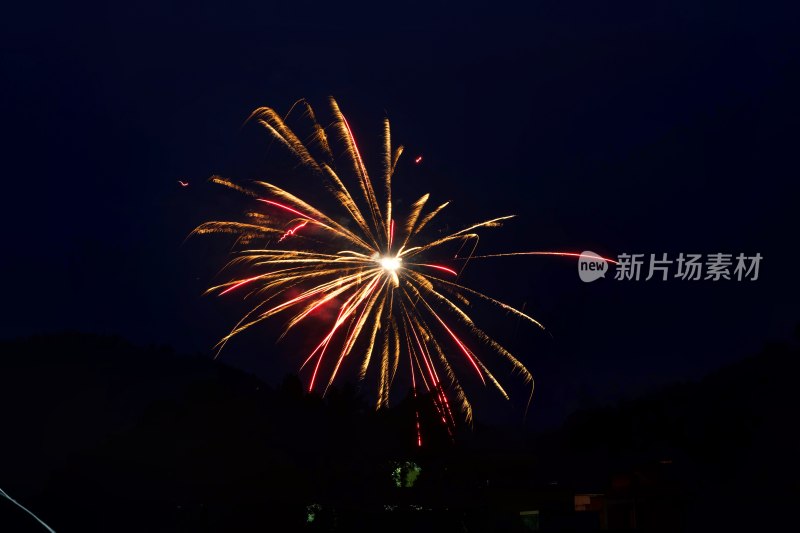 夜空中绽放的绚丽烟花