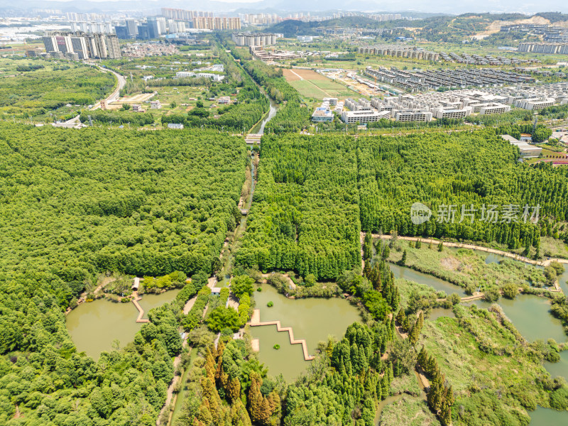 航拍昆明滇池捞鱼河湿地公园景观