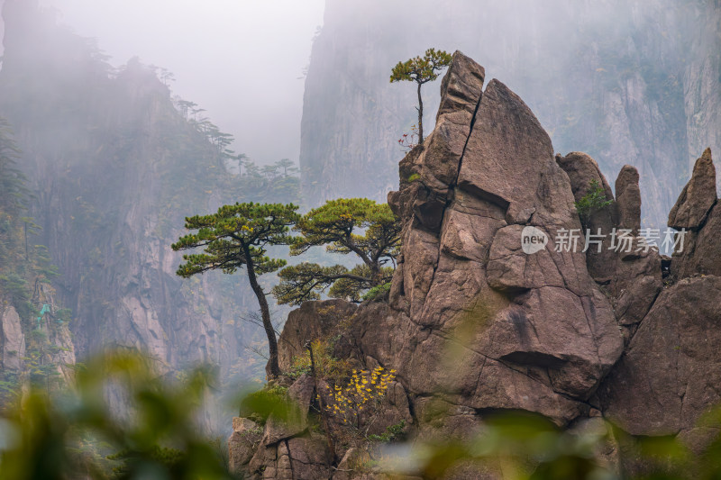 安徽黄山美丽场景