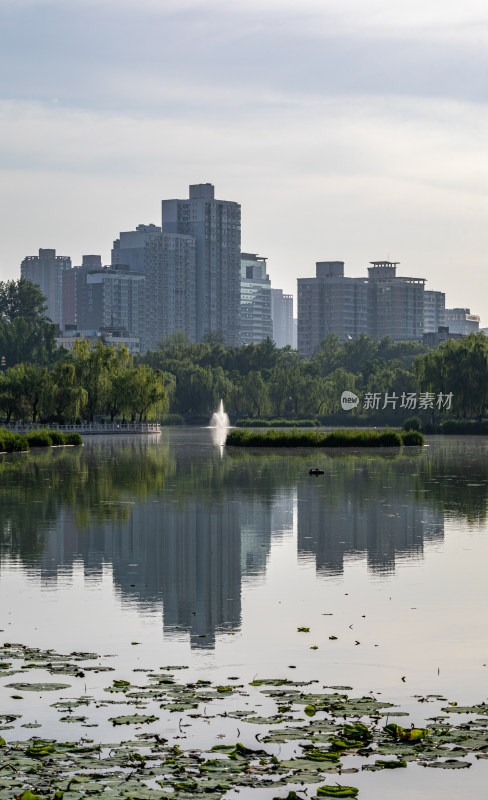 陕西西安兴庆宫公园景点景观