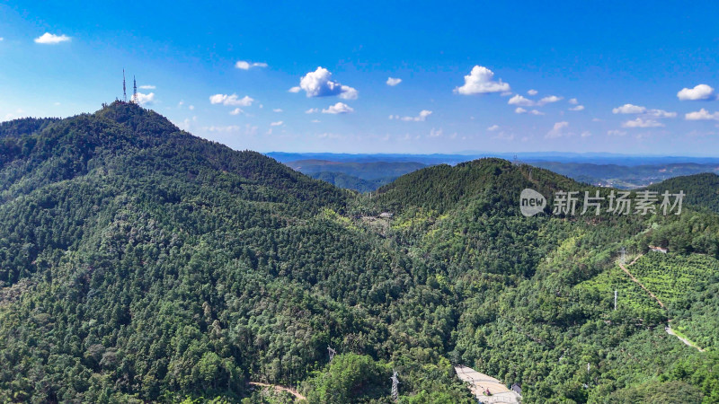 山川丘陵大山山脉森林植物航拍图