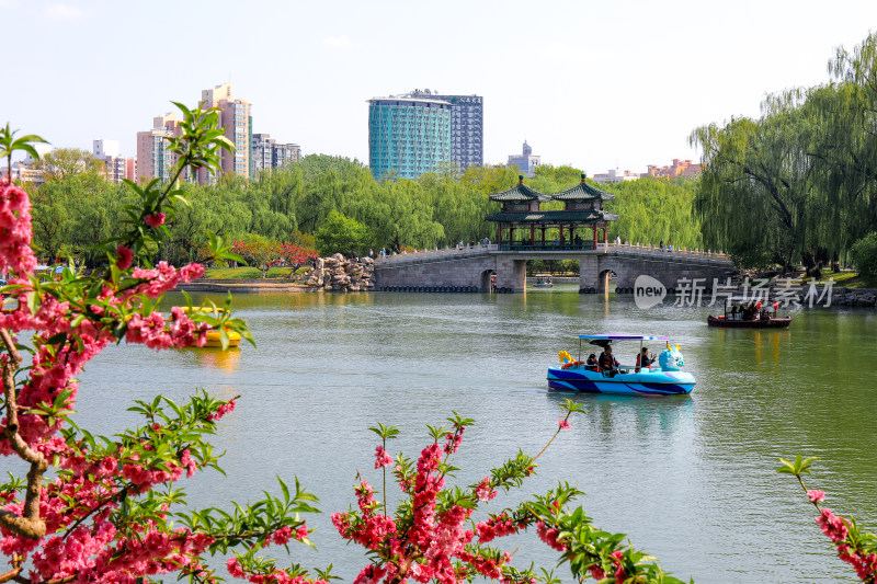 北京春天龙潭公园 户外郊游