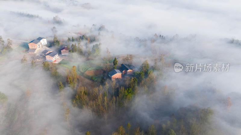 山村云雾缭绕云海日出 云雾中的房屋