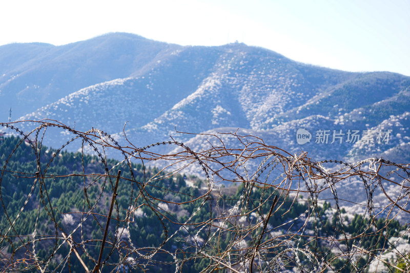 高山上的铁丝网