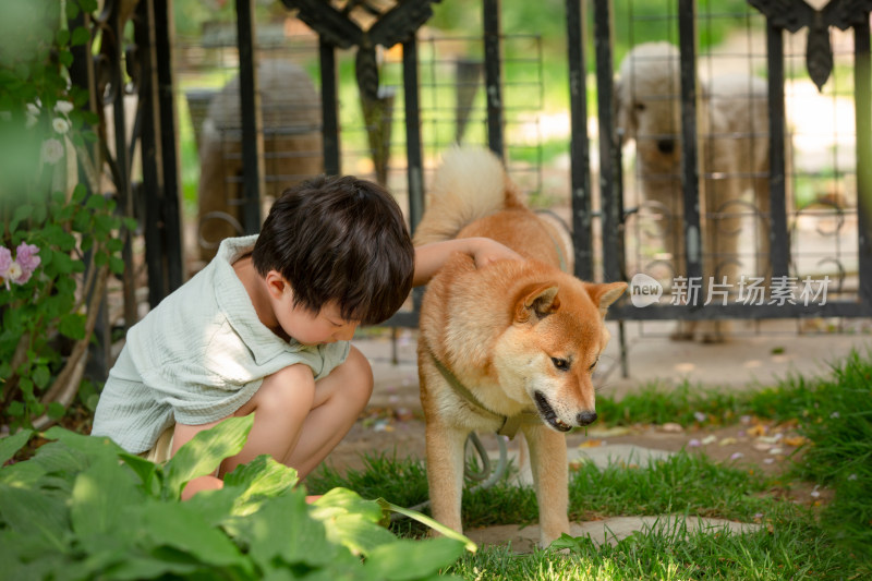 快乐的小男孩和宠物狗玩耍