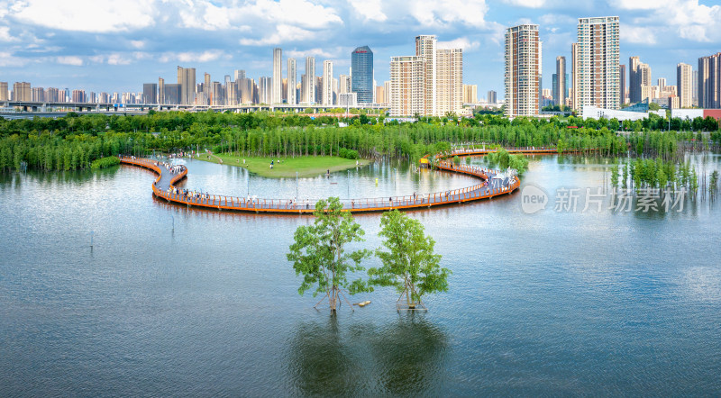 武汉江滩夏季湿地公园水上栈道