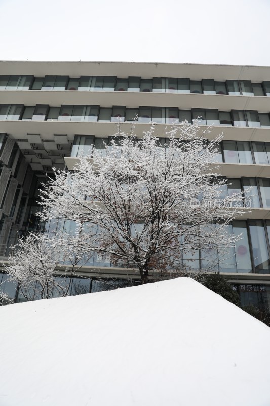 阿里巴巴西溪园区雪景