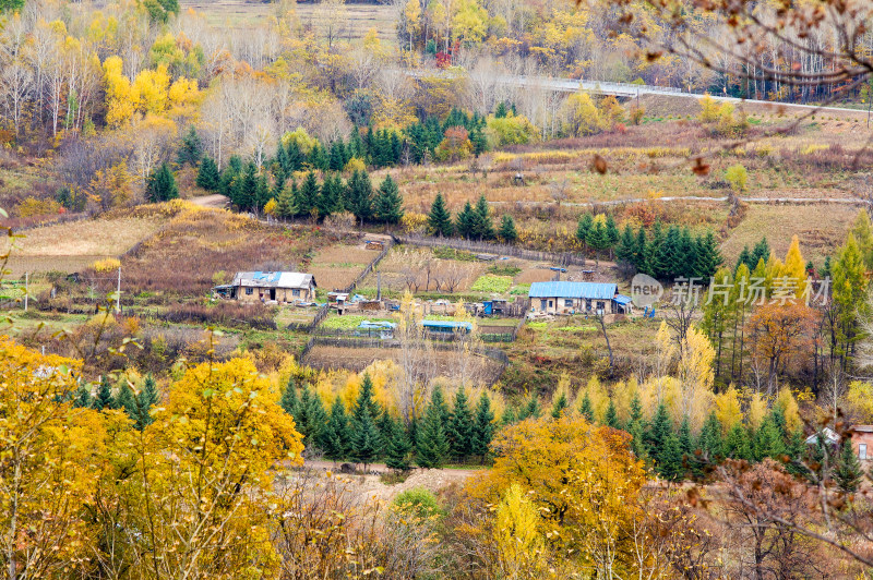 长白山景区坐落在森林里的村庄秋色