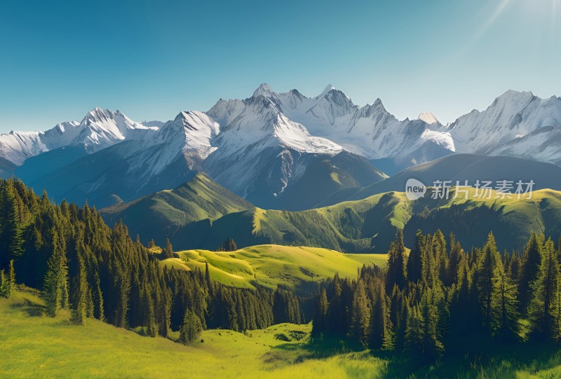 雪山草原森林风景