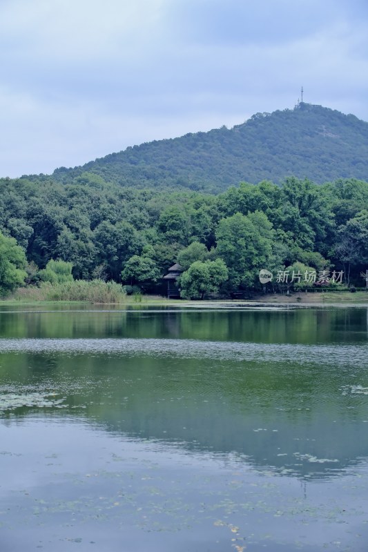 南京钟山景区 前湖 琵琶湖