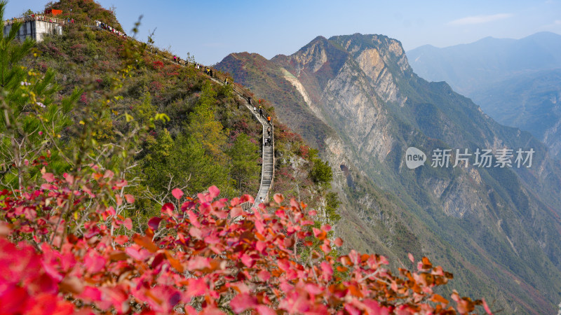 长江三峡巫峡红叶