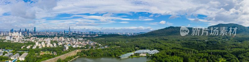 南京城市天际线与紫金山