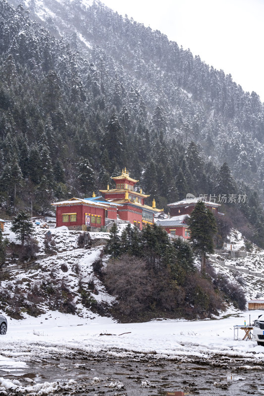 西藏林芝高原雪域冬景雪景中的红墙藏族寺庙