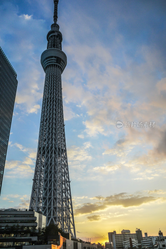 日本东京晴空塔