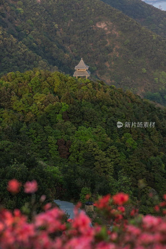 深圳梧桐山