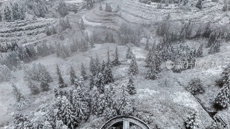 重庆酉阳：大雪纷飞赏雪忙