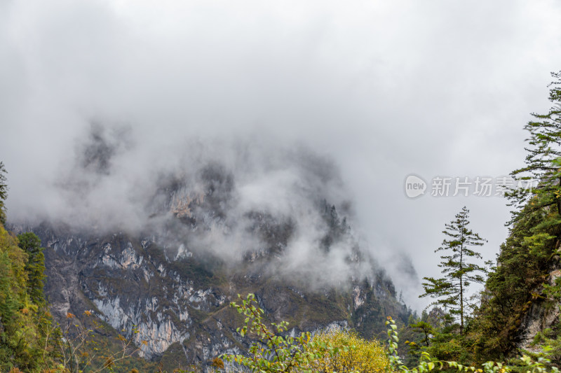 秋天树林云雾山峰