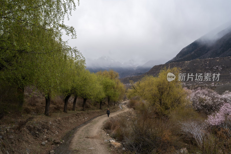 西藏林芝索松村南迦巴瓦峰雪山云海之巅