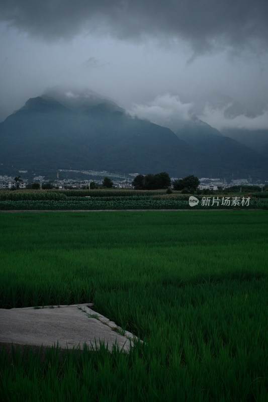 乌云笼罩下的山间田野景象