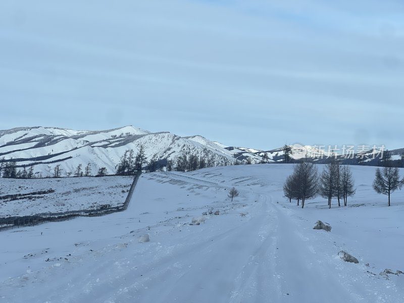 雪 雪地 新疆 雪路 喀纳斯