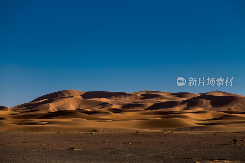 夕阳下的撒哈拉沙漠