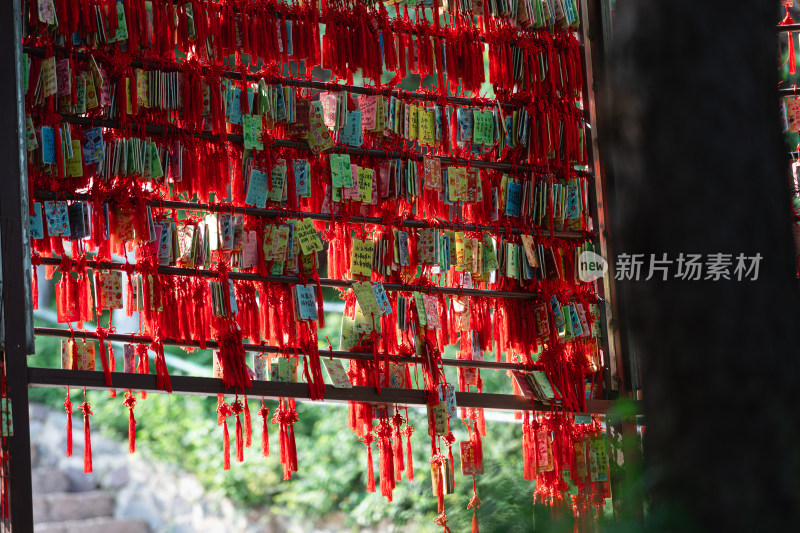 北京香山公园自然风景