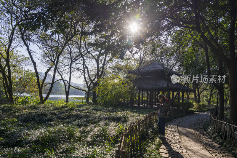 杭州西湖茅家埠江南水乡风景