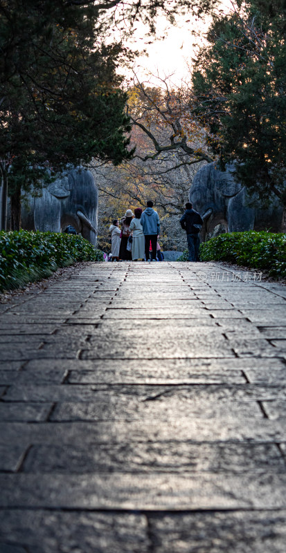 游客参观南京明孝陵石象路神道石像古迹场景