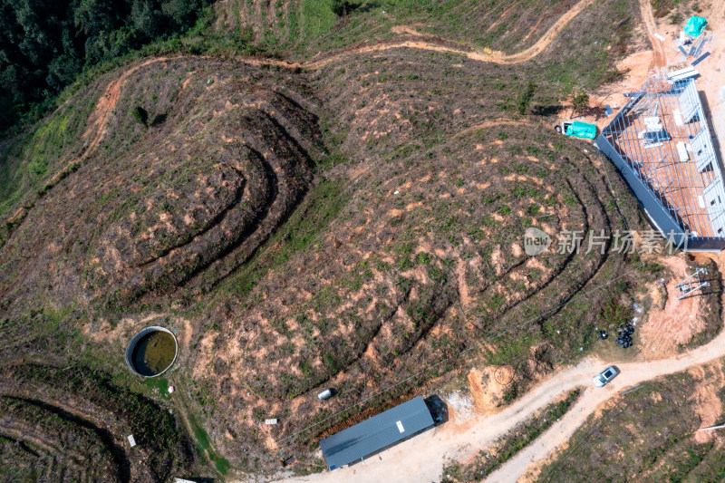 山坡上的梯田 经济作物种植基地