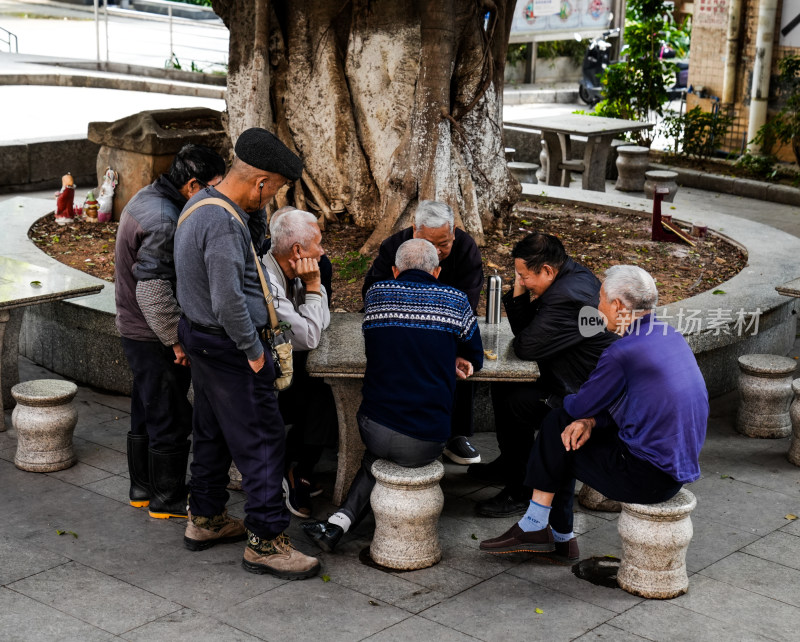 老年人树下围坐闲谈场景