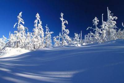 大兴安岭冬季林海雪原冰雪风光