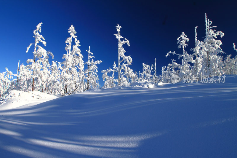 大兴安岭冬季林海雪原冰雪风光