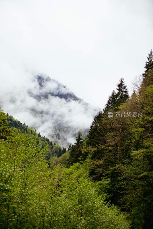 自然风光 风景