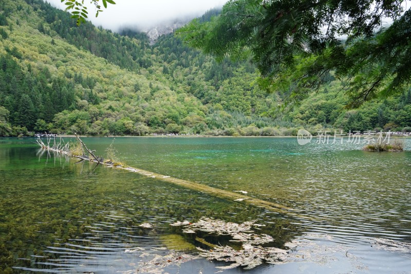 四川阿坝藏族羌族自治州九寨沟景区