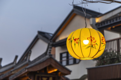 中式灯笼花灯春节新年节日夜晚上海蟠龙天地