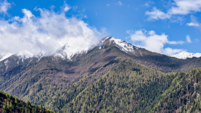 四川阿坝四姑娘山附近的雪山