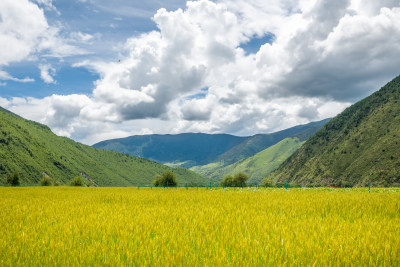 四川甘孜风景