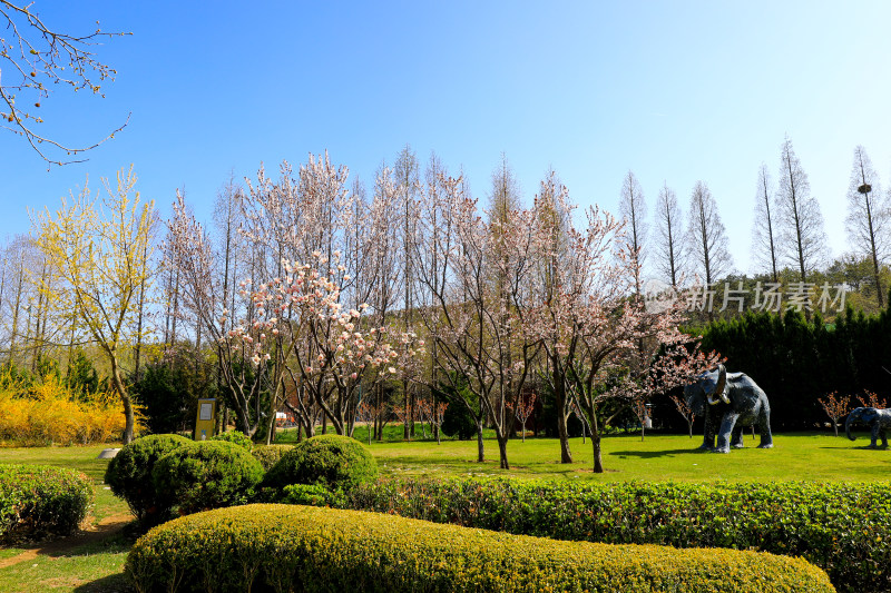 大连棒槌岛宾馆