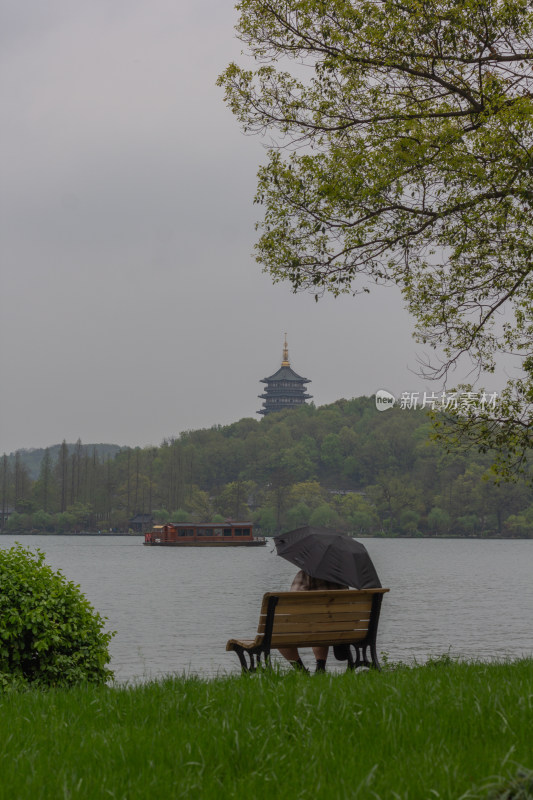 西湖苏堤边树木葱郁中的雷峰塔远景