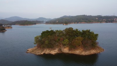 航拍广东省东莞市清溪镇契爷石水库湿地公园