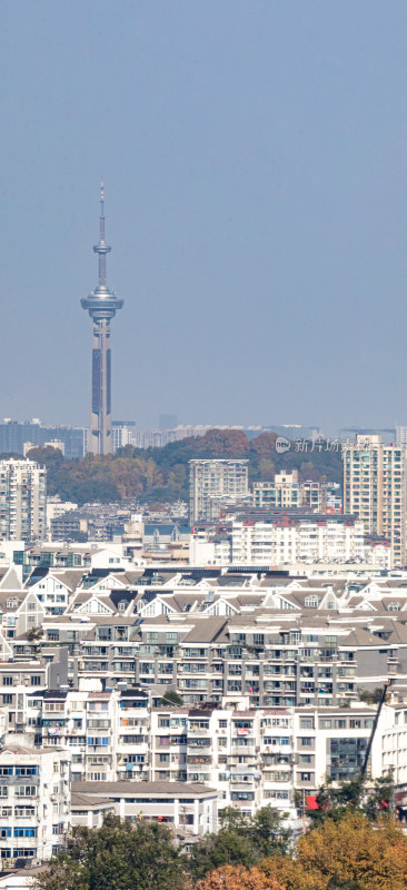 南京城市建筑与自然景观融合全景