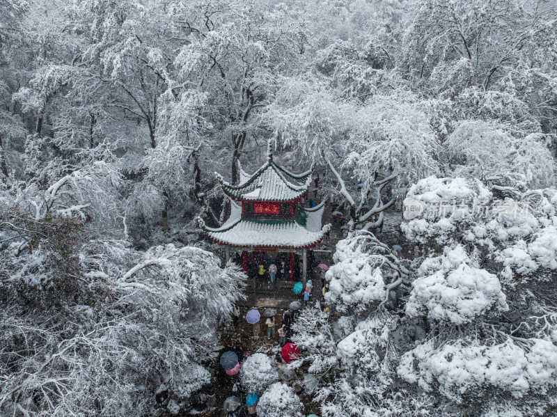 爱晚亭雪景