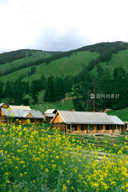 阿勒泰地区喀纳斯木屋