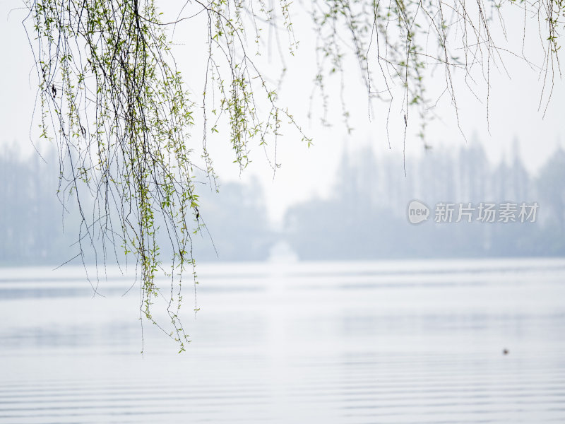 杭州西湖茅家埠江南水乡风景