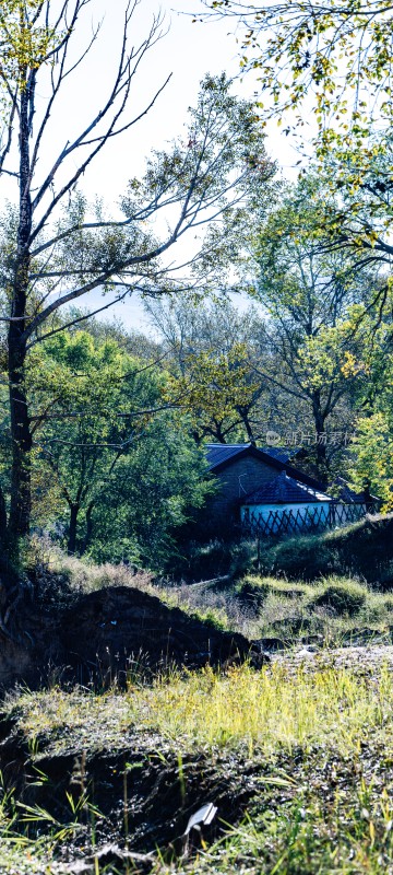 林间小屋自然风光景象