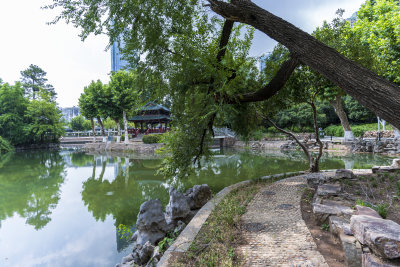 武汉江汉区中山公园风景